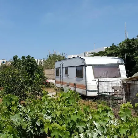 Leylandvilla Vakantiehuis *
