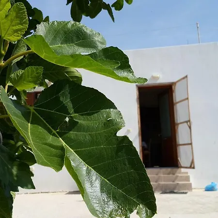 Vakantiehuis Leylandvilla Naxos City